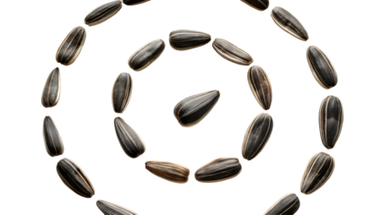 Seed Spiral: A close-up image showcases an artistic arrangement of sunflower seeds, forming a spiral. Emphasizing the seed's form and texture with a natural composition.