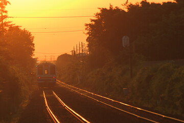 夕暮れの世界の中を走る列車(茨城県・関東鉄道)