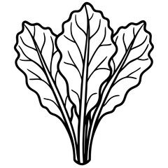 Vibrant Swiss Chard Leaf Vector Illustration