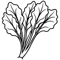 Vibrant Swiss Chard Leaf Vector Illustration
