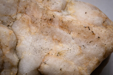 Close-up of an orange and white rock fragment with textured surface.