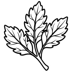 Minimal Arugula Herb Vector Illustration