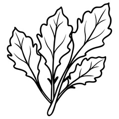 Minimal Arugula Herb Vector Illustration