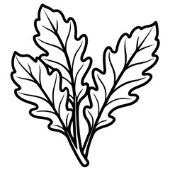 Minimal Arugula Herb Vector Illustration