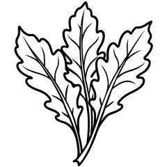 Minimal Arugula Herb Vector Illustration