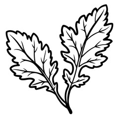 Minimal Arugula Herb Vector Illustration