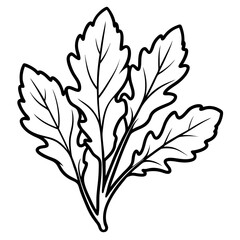 Minimal Arugula Herb Vector Illustration