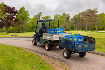 Obraz premium Golf, ramasseur de balles, jour, horizontal