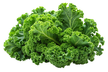 Fresh organic green kale vegetable nutrition health benefits and delicious recipes for healthy eating on transparent background