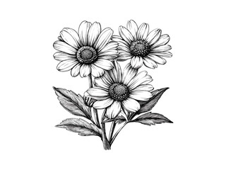 Rustic bloom illustration, vintage botanical engraving, wild daisy chain, antique floral linework, retro nature print decor, engraved flower sketch, black sketch art, trendy floral design