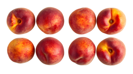Four ripe peaches arranged in a square pattern, showing off their reddish-yellow hues, isolated on a white background