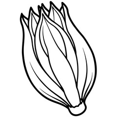 Endive Elegance – Minimalist Vector Art
