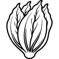 Endive Elegance – Minimalist Vector Art