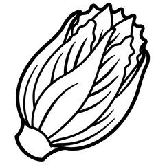 Endive Elegance – Minimalist Vector Art