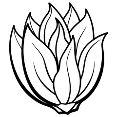 Endive Elegance – Minimalist Vector Art