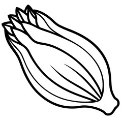 Endive Elegance – Minimalist Vector Art