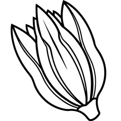 Endive Elegance – Minimalist Vector Art