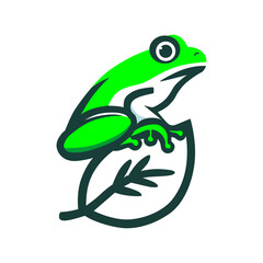 Green Frog Perched on a Leaf