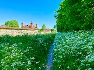 Fototapety na wymiar - Fototapeta24.pl