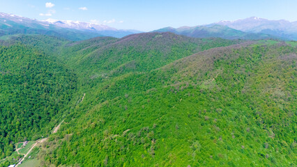 Fototapeta premium Vast, green mountain landscape covered in dense forest by a drone