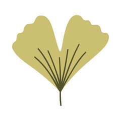 Ginkgo leaf in light green color. One element isolated on white. Spring or summer background, vector illustration