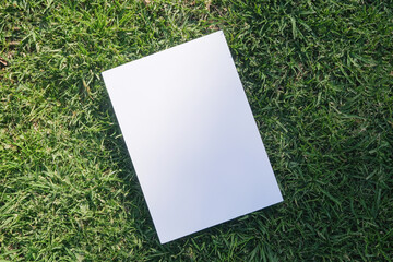 Mockup blank poster on green grass background