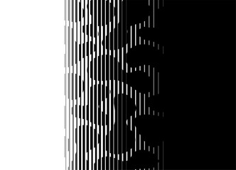 Smooth Vector transition from black to white. Abstract striped pattern creating a camouflage effect similar to the skin of an animal or reptile. Optical illusion Vector background of thin lines