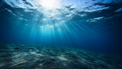Obraz premium deep ocean s sun dappled surface mesmerizing underwater perspective marine ocean