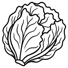 Minimalist Napa Cabbage Vector Art