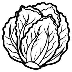 Minimalist Napa Cabbage Vector Art
