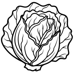 Minimalist Napa Cabbage Vector Art