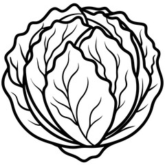 Minimalist Napa Cabbage Vector Art
