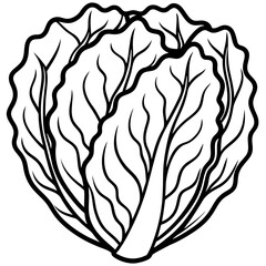 Minimalist Napa Cabbage Vector Art