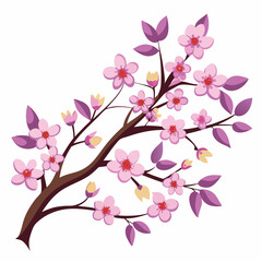 pink cherry blossom