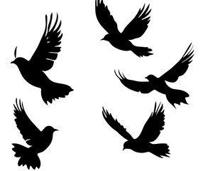 Modern illustration of flying birds in a flock isolated on a white background