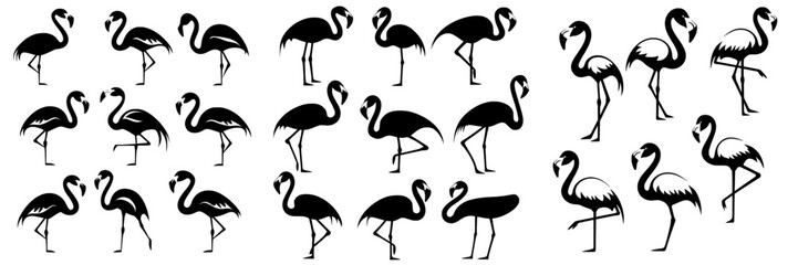 Silhouettes of pink flamingos set against a white backdrop