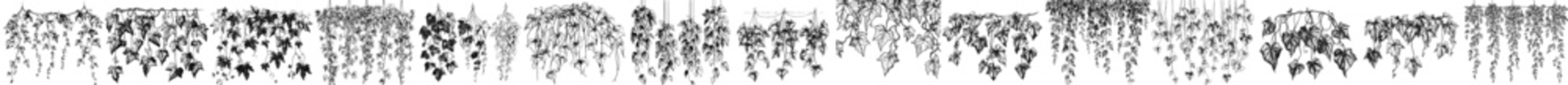 black and white background