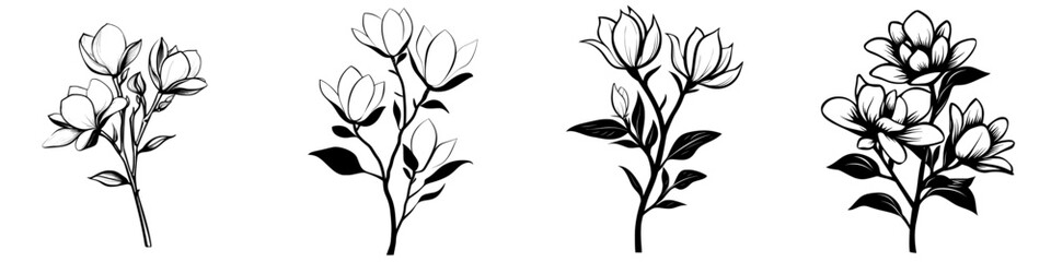 The Sketch Floral Botany Collection features magnolia flower drawings in black and white line art set against white backgrounds, all of which are hand drawn © Andrei
