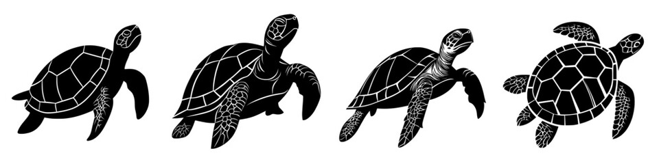 A modern illustration featuring a sea turtle graphic icon and a black silhouette isolated on a white background
