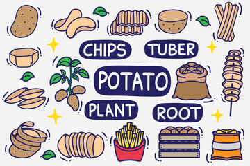 set of potato doodle with color good for background, wallpaper, icon, element design, etc