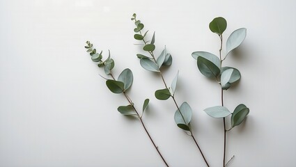 green leaves on a wooden background