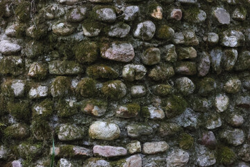 Background Texture Of An Ancient Wall Constructed From Rounded Natural Stones Heavily Covered With Lush Green Moss. Old Masonry Detail Found In Nature.