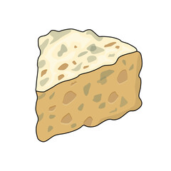 vector illustration of cheese the blue cheese