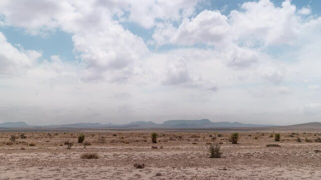 Cloudscape Timelapse in the west Texas desert near Big Bend, Dust Devils and Yucca plants in hot arid Chihuahuan landscape