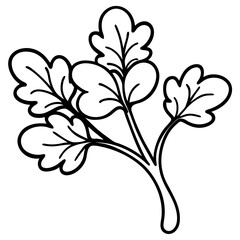 Elegant Watercress Vector Illustration