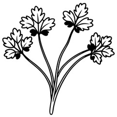 Elegant Watercress Vector Illustration