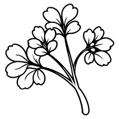 Elegant Watercress Vector Illustration