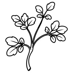 Elegant Watercress Vector Illustration