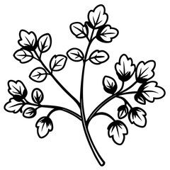 Elegant Watercress Vector Illustration