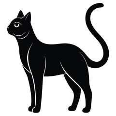 Elegant black cat gracefully stands with its curved tail and watchful eyes